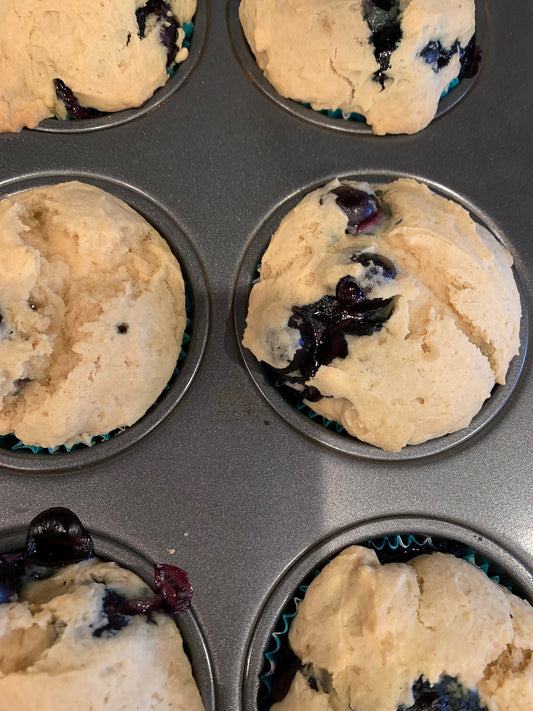 Scrumptious Vegan, gluten free Blueberry Muffins -  kid favorite